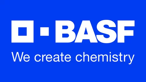 amf-24-basf-logo.webp.480