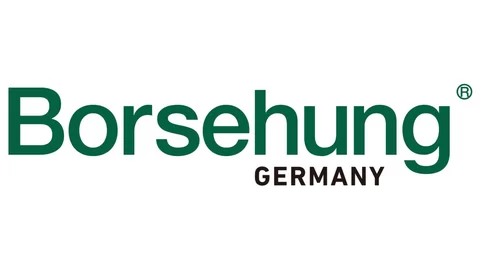 borsehung-logo.webp.480