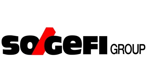 sogefi-group-logo.webp.480