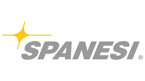 spanesi-logo.webp.480